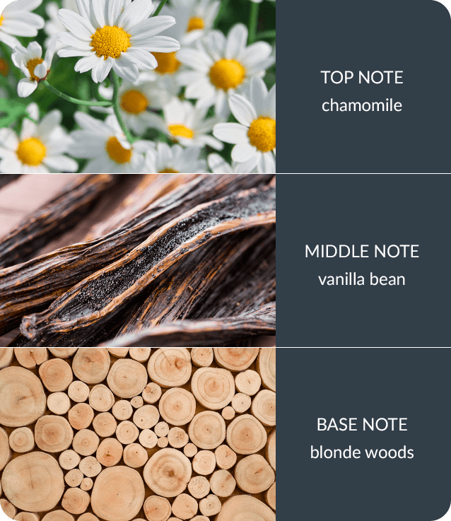 Vanilla & White Woods Fragrance Diffuser -140ml - Up to 16 Weeks of Fragrance
