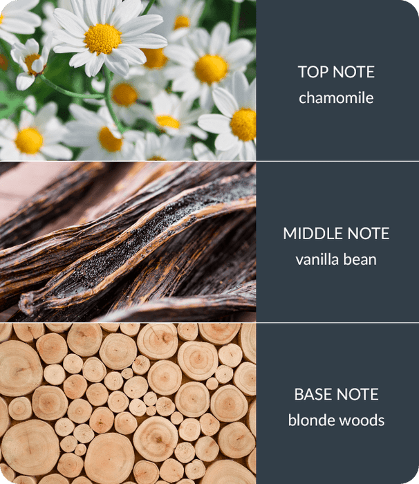 Vanilla & White Woods Fragrance Diffuser -70ml - Up to 12 Weeks of Fragrance