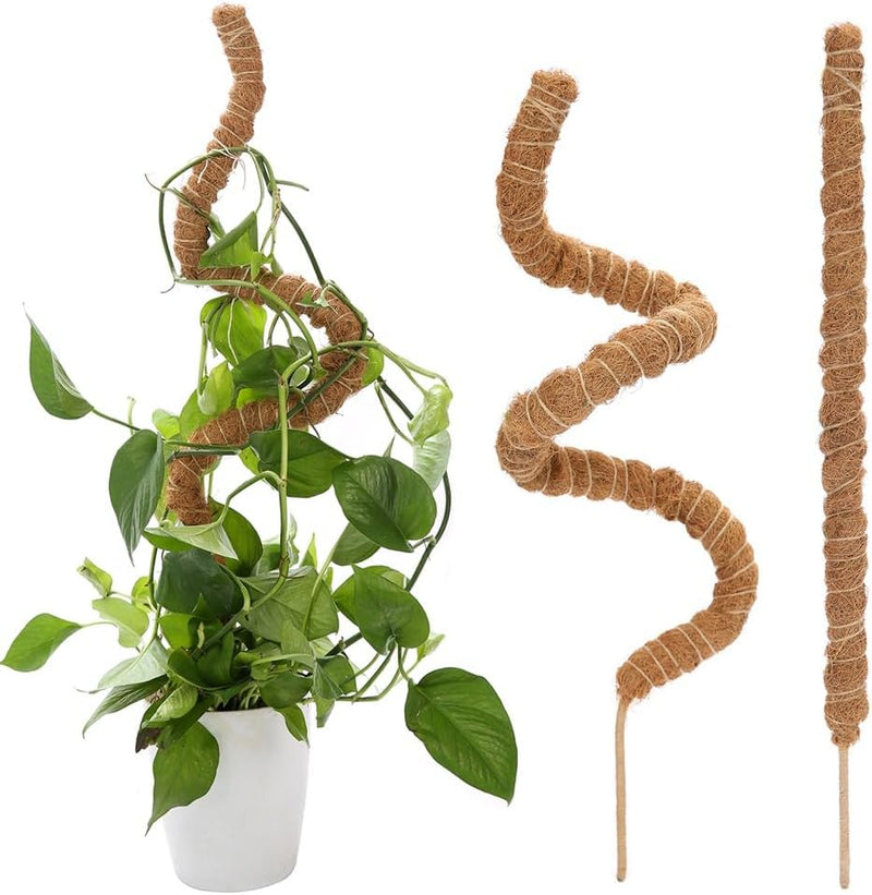 Bendable Moss Pole Plant Support 2 Pack 63.5cm Climbing Stakes