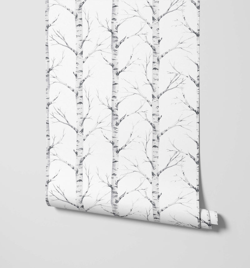 Birch