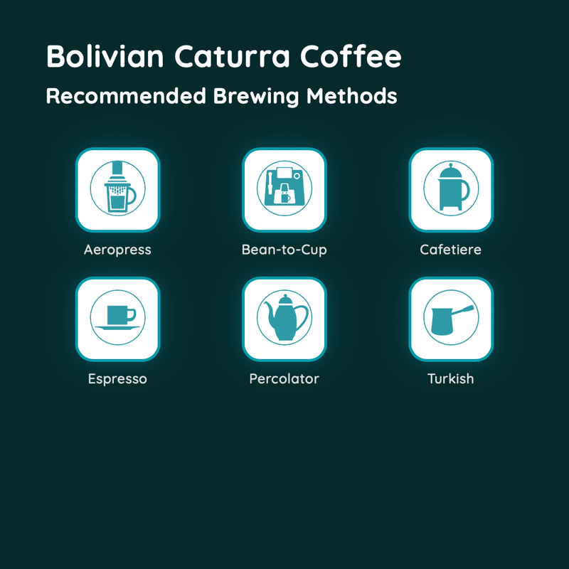Bolivian Caturra Coffee