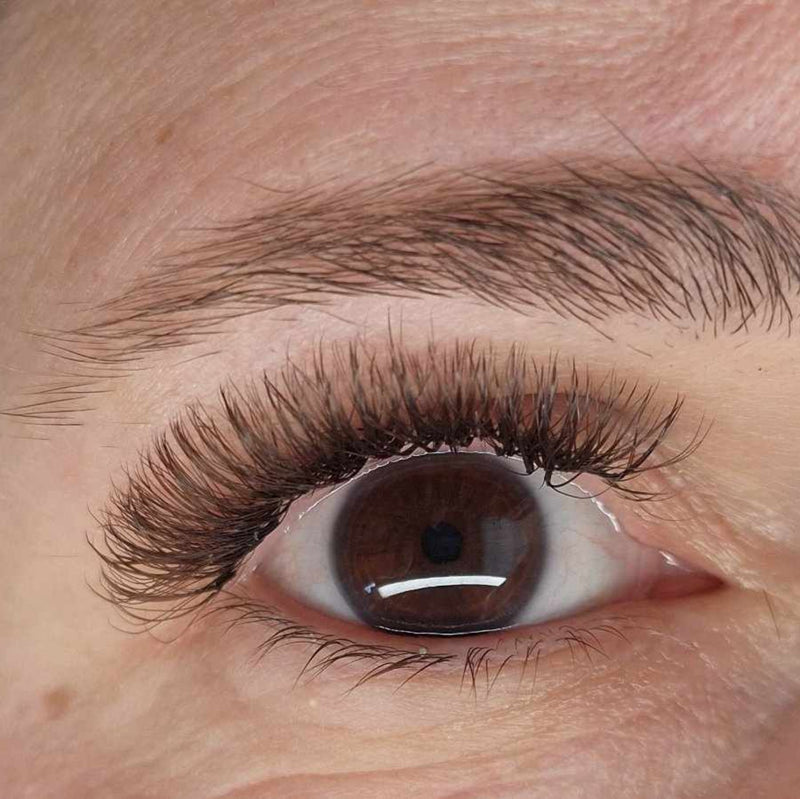 Brown Fairy Lashes – Mixed Tray