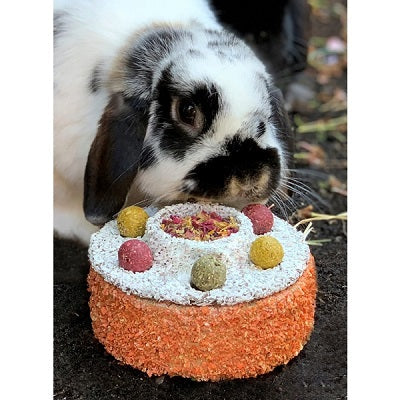 Bunny Birthday Cake