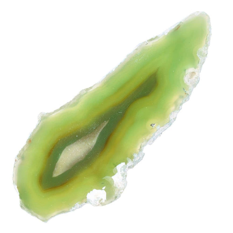 Agate Slice Available in Assorted Vibrant Colours Collectable (Single)