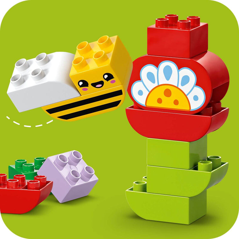 Lego Duplo 10444 Creative Garden & Flowers for Toddlers Ages 2 and Up