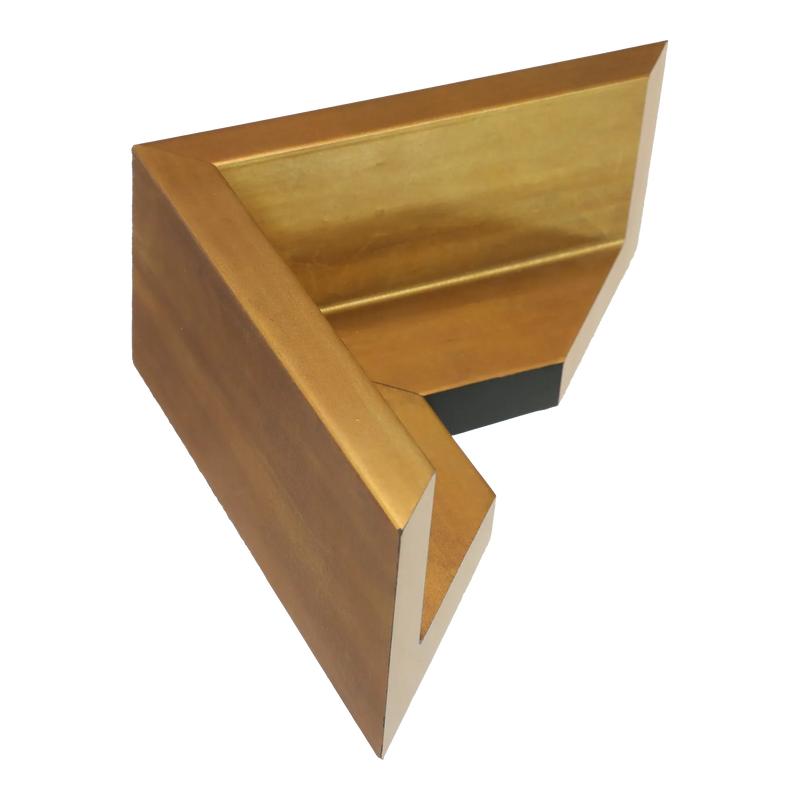 Canvas Float II Antique gold Frame, 70x100cm