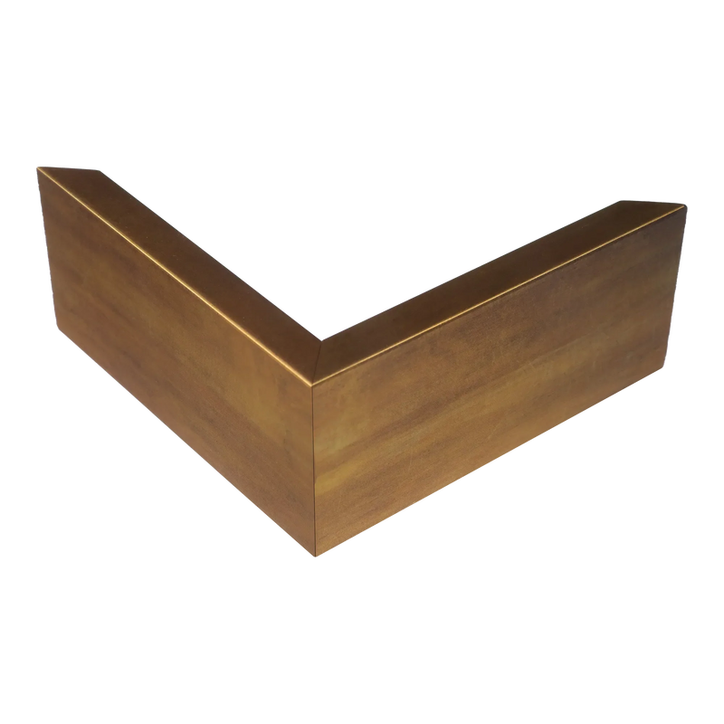 Canvas Float II Antique gold Frame, 20x24"