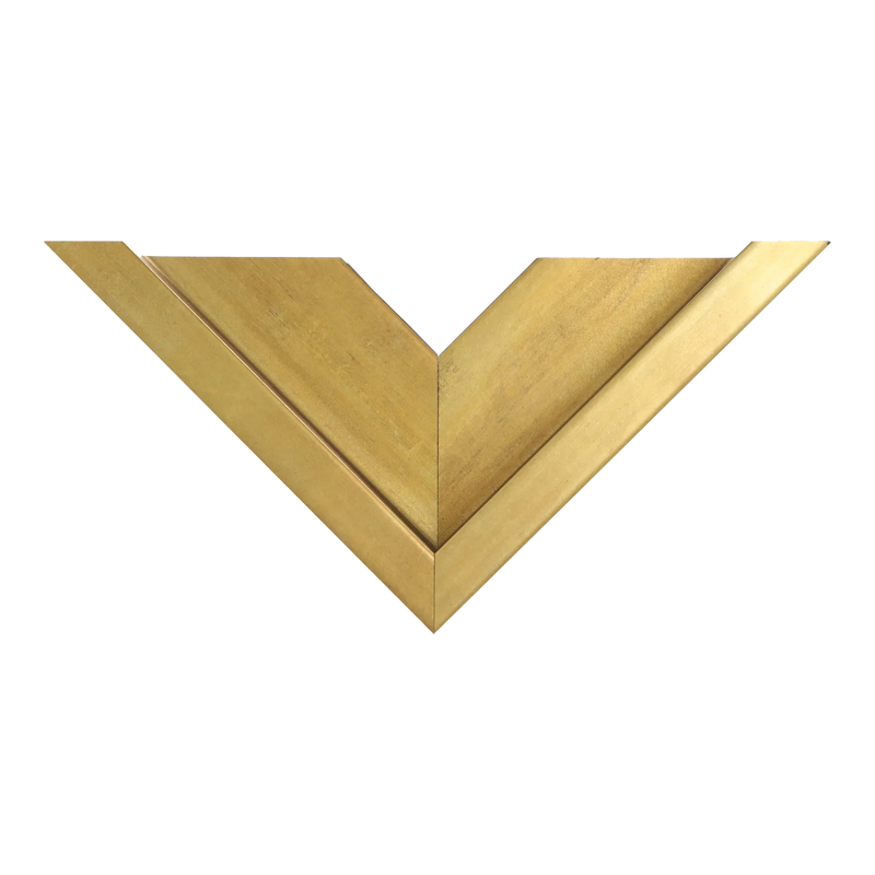 Canvas Float II Antique gold Frame, 8.8x24.3"