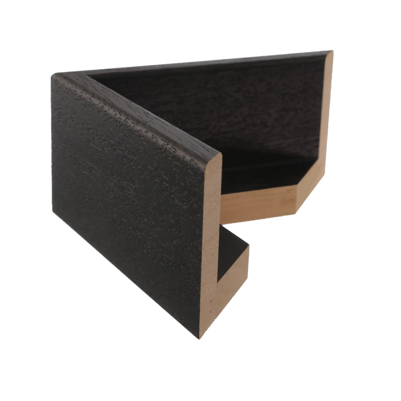 Canvas Float II Black Frame, 8.8x26.3"