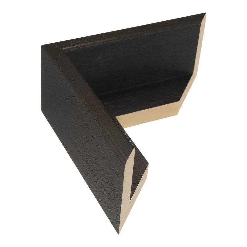 Canvas Float II Black Frame, 50x100cm