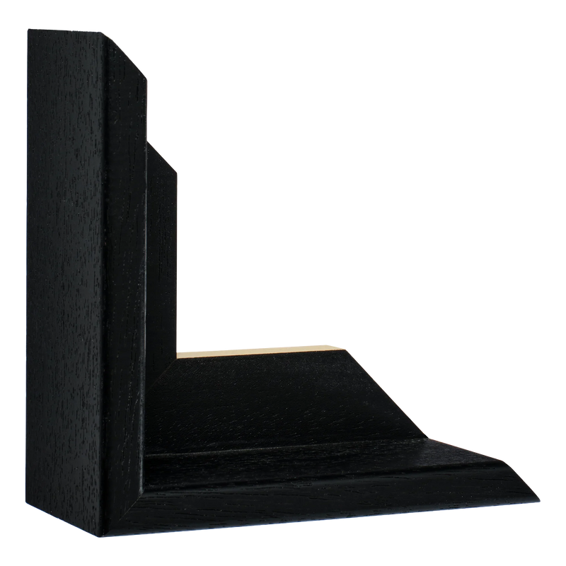 Canvas Float II Black Frame, 50x100cm