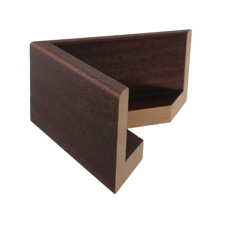 Canvas Float II Brown Frame, 20x24"