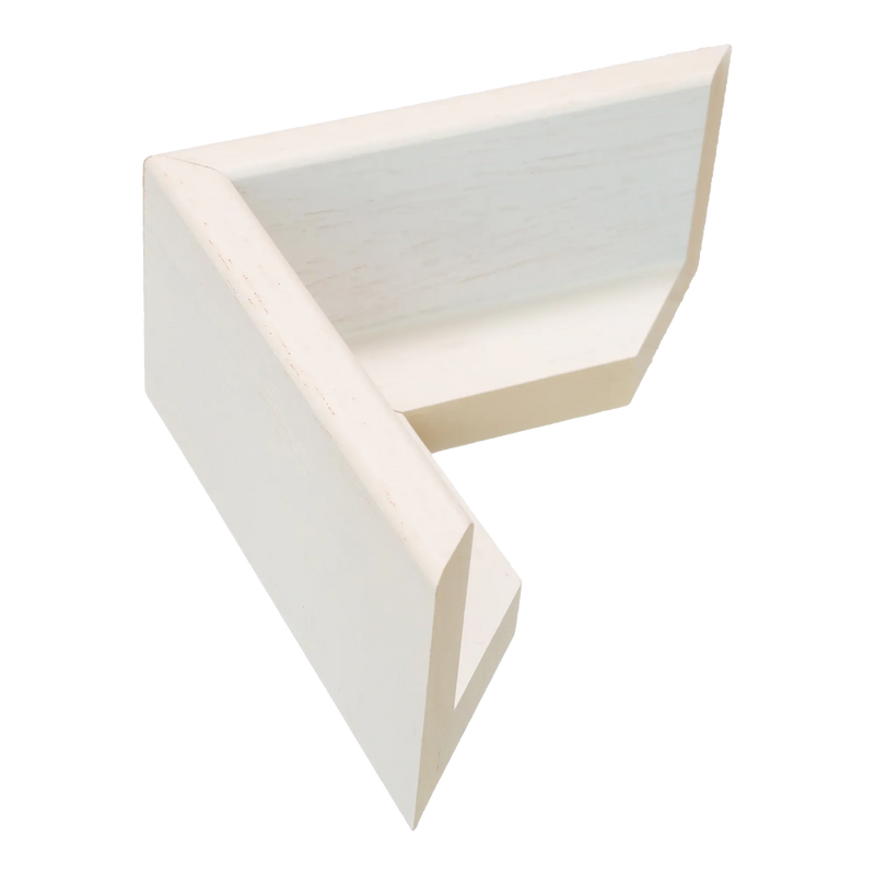 Canvas Float II White Frame, 50x100cm