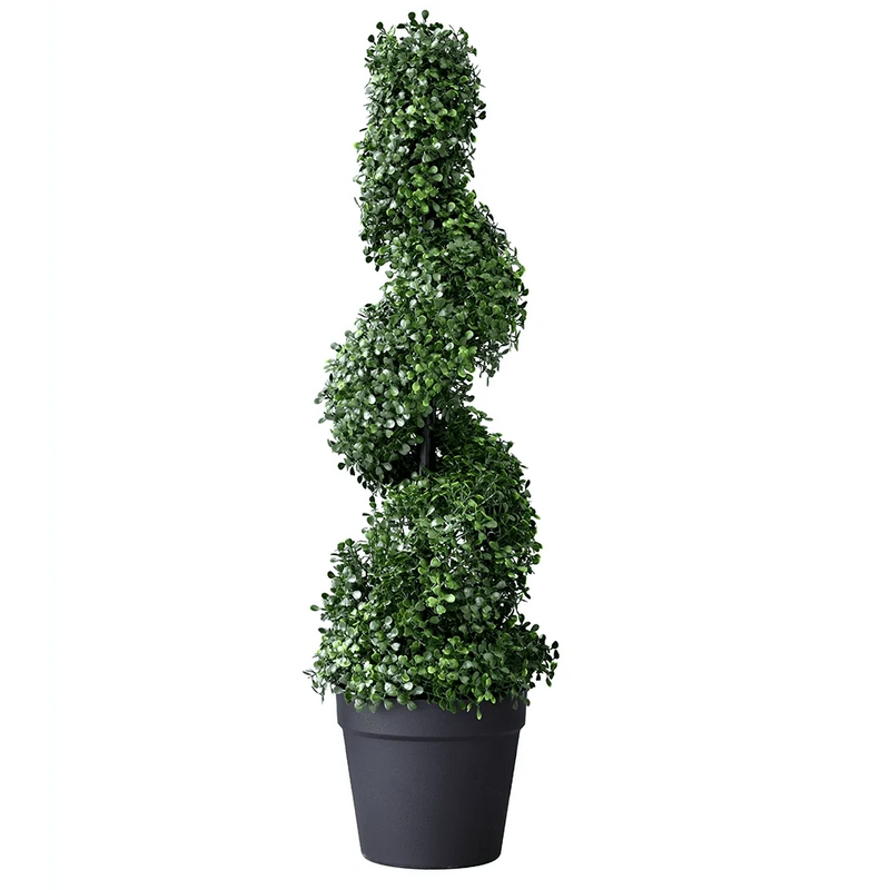 Boxwood Spiral Tree 85cm