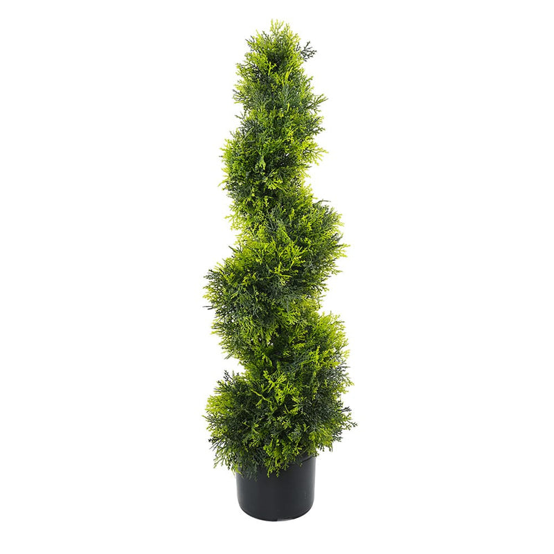 Cypress Spiral Tree 90cm