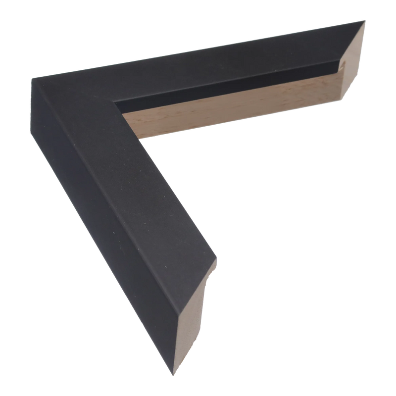 Classic I Black Picture Frame, 10.5x24.3"