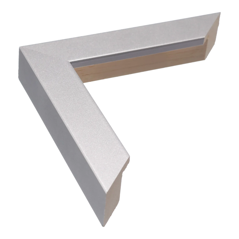 Classic I Silver Picture Frame, 23x44cm