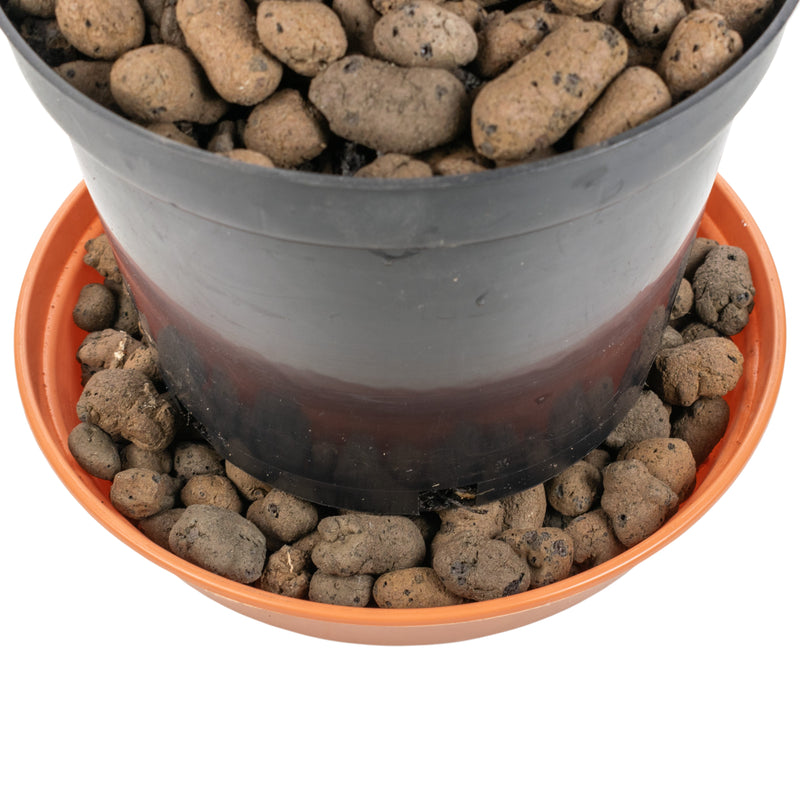 Expanded Clay Aggregate, KERAMZYT, Grade 8-16mm