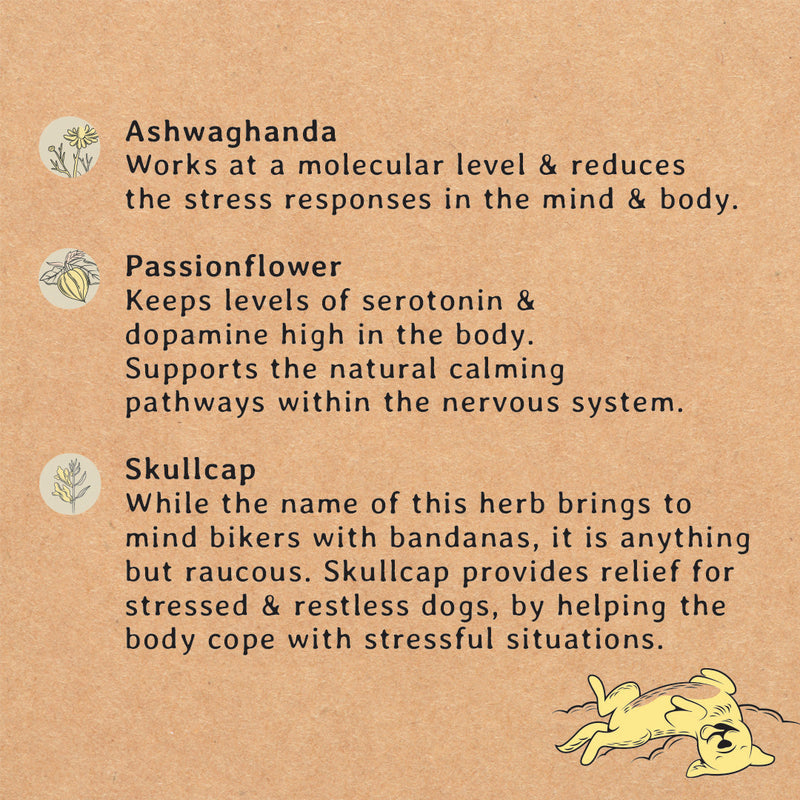 Calming Dog Treats