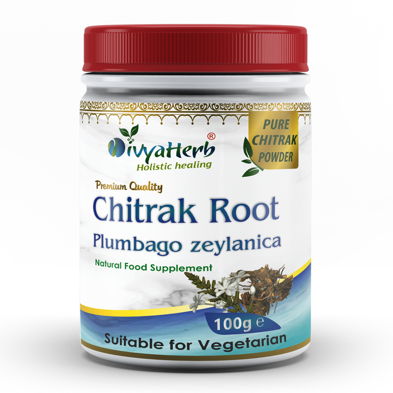 DivyaHerb Chitrak Root Powder 100 gram - Daily Wellness Support