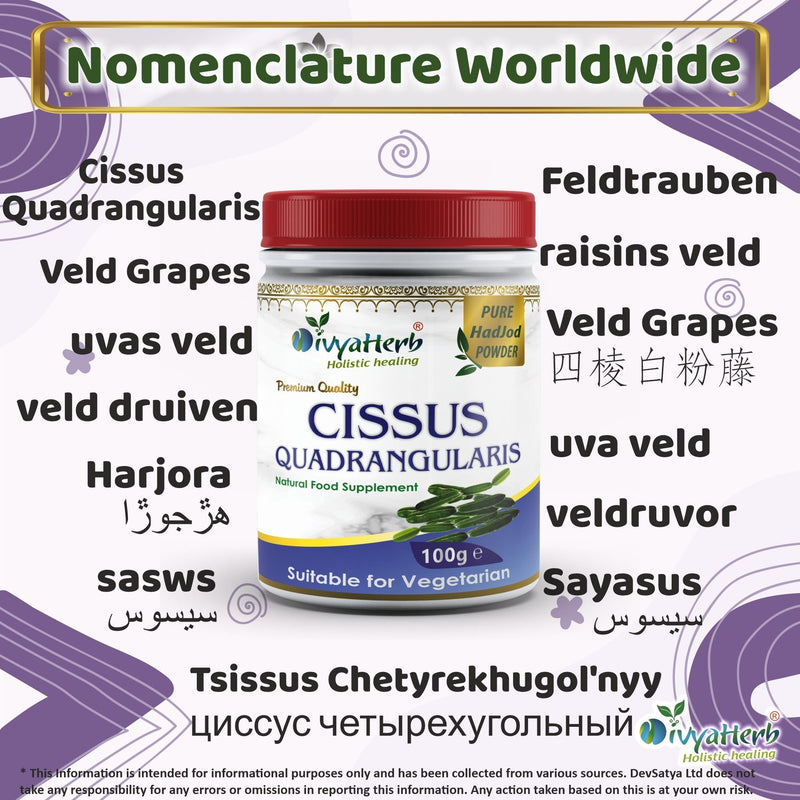 DivyaHerb Cissus Quadrangularis Powder 100 gram - Joint & Mobility Support