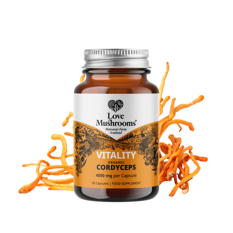 Cordyceps Capsules (30) – 4000mg per Capsule