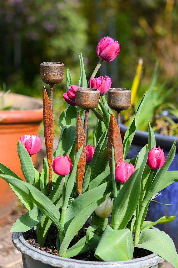Rusty Metal Tulip
