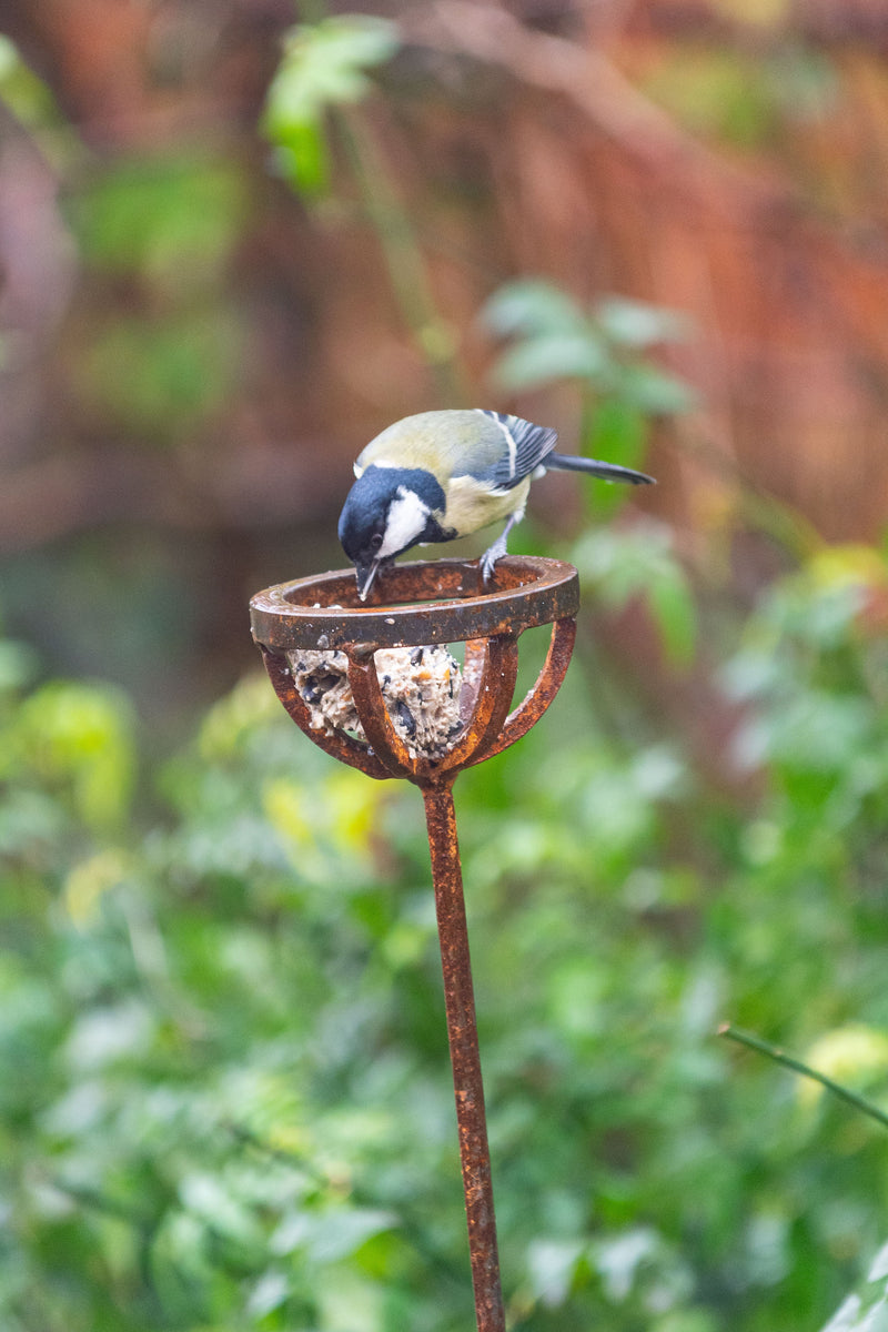 Fat Ball Bird Feeder Stake