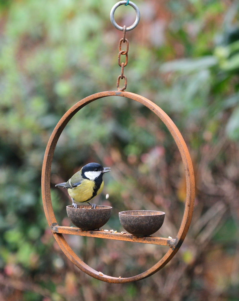 Double Hanging Metal Bird Feeder Ring