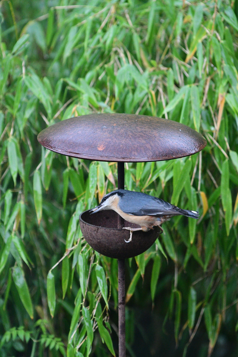 Rusty Metal Bird Feeding Stake