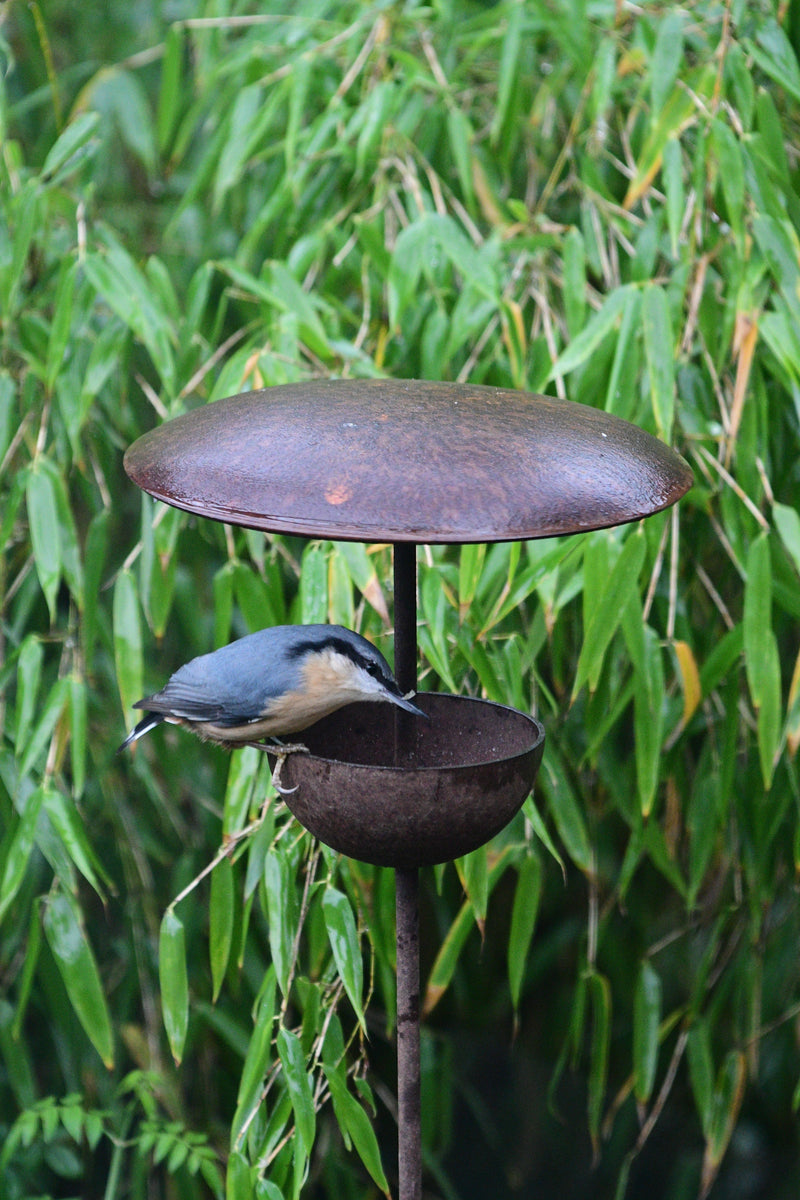 Rusty Metal Bird Feeding Stake