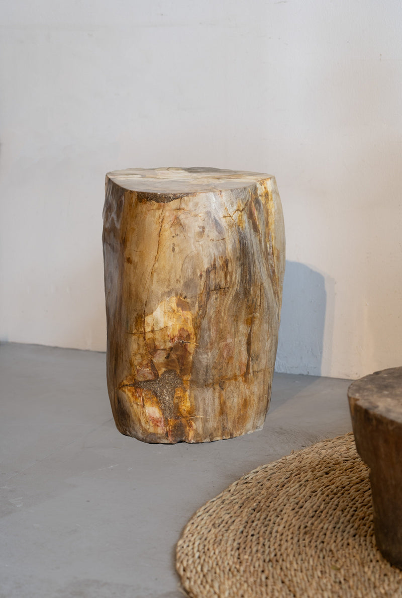 Petrified Wood Side Table / Stool