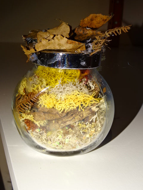 Handmade Cute Festive Owl Jar Diorama