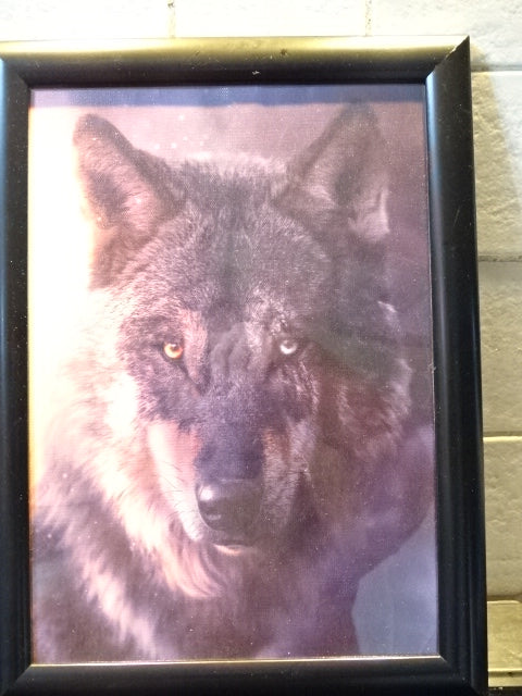 Framed 'Dark Wolf' Canvas Print Picture  34cm H x 24cm W