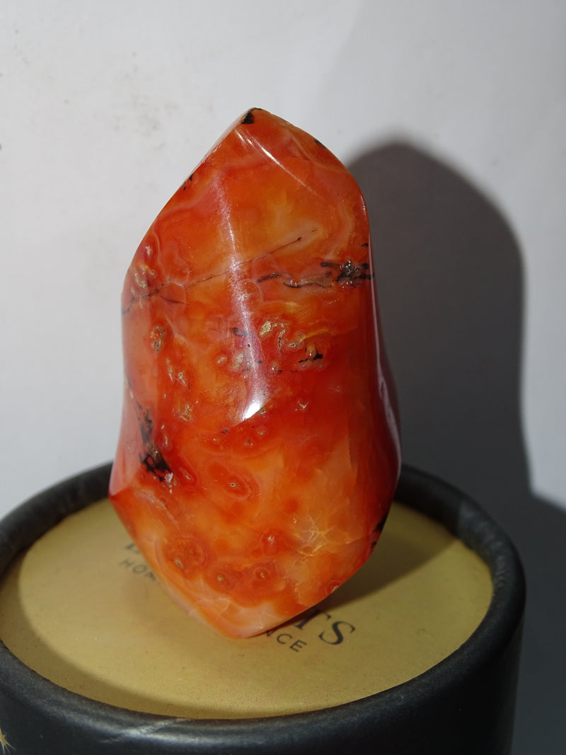 Small Orange Carnelian Free Form