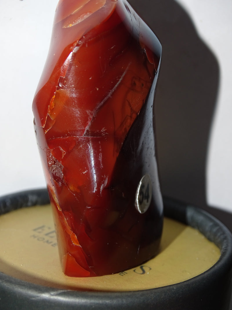 Small Red Carnelian Free form