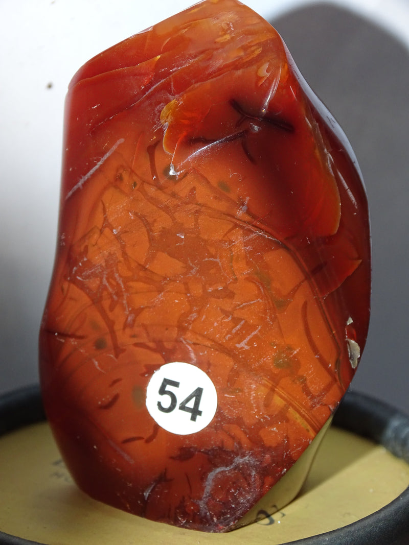 Small Red Carnelian Free form