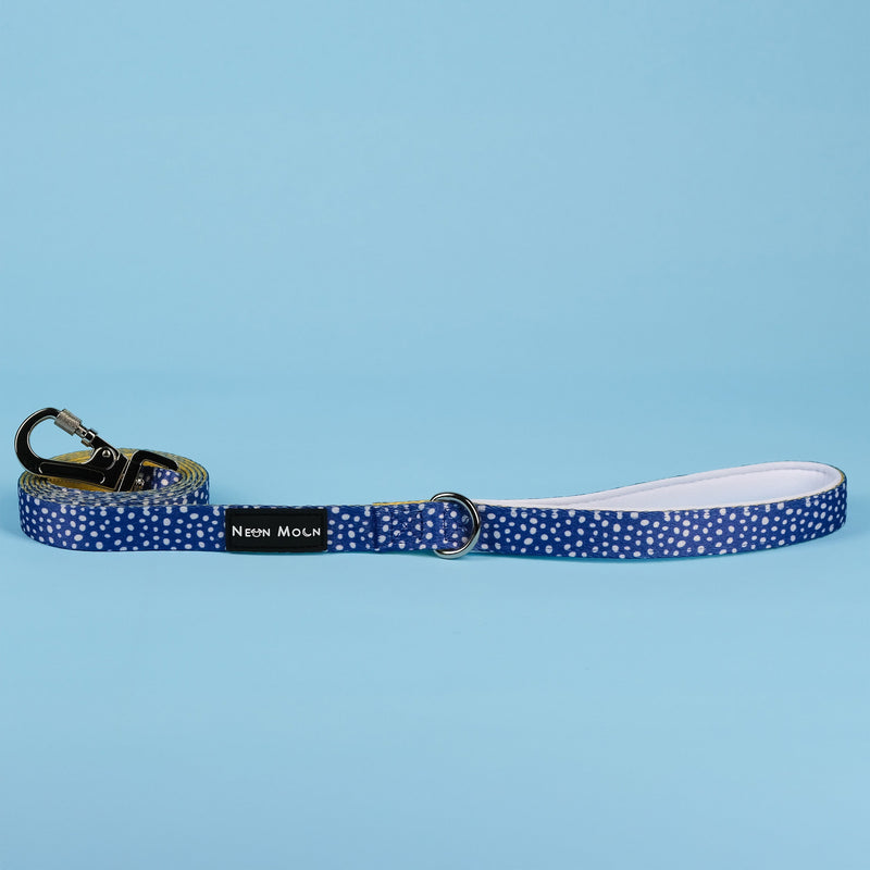 The Minnie Lead