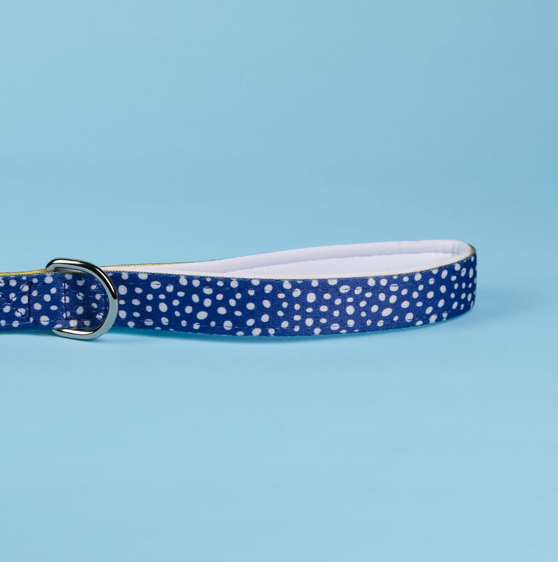 The Minnie Lead