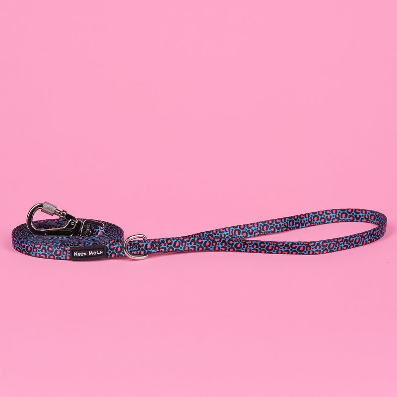 The Willow Lead