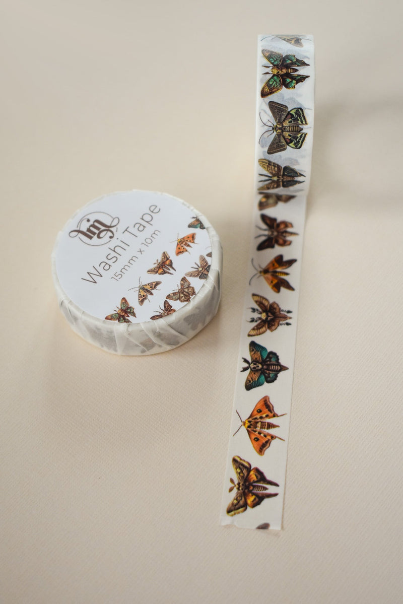 Brown Moth