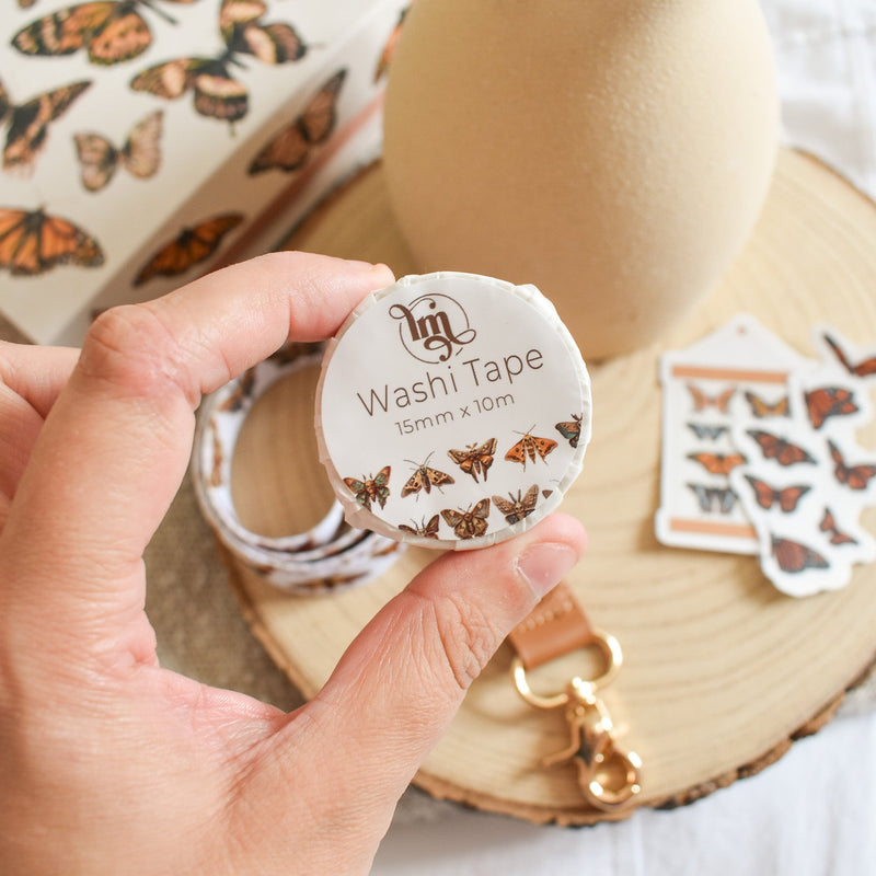 Brown Moth