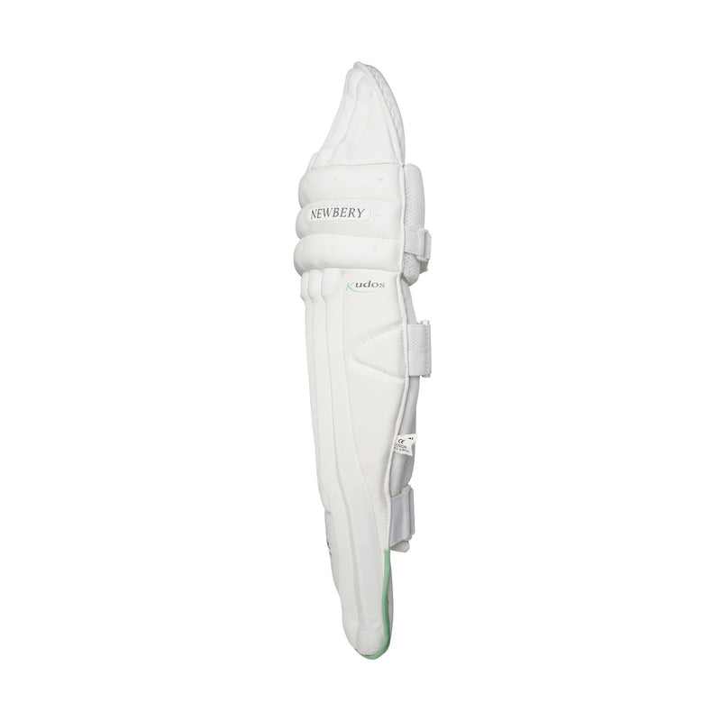 Kudos Cricket Batting Pads
