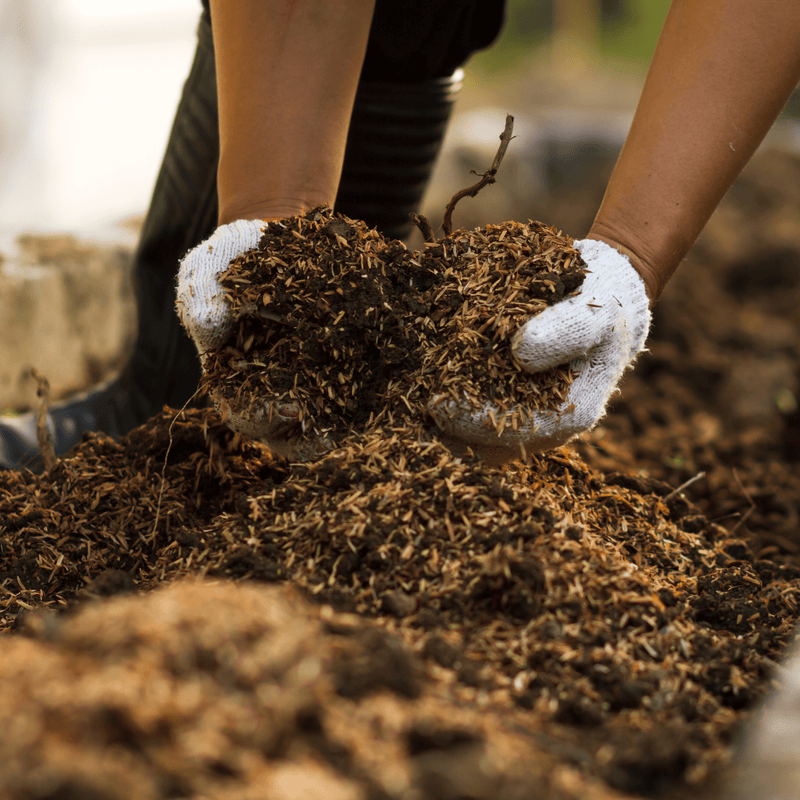 AutumnMix Compost Garden Mulch