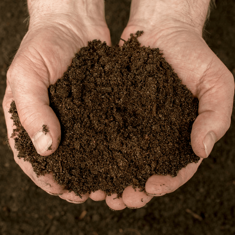 Bordermix® Welsh Topsoil for plants and flowers