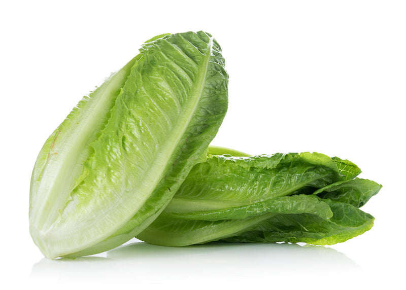 Cos Lettuce (500g)