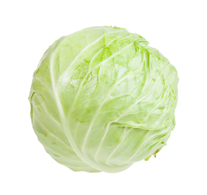 Dutch White Cabbage Large (1.5-2kg)