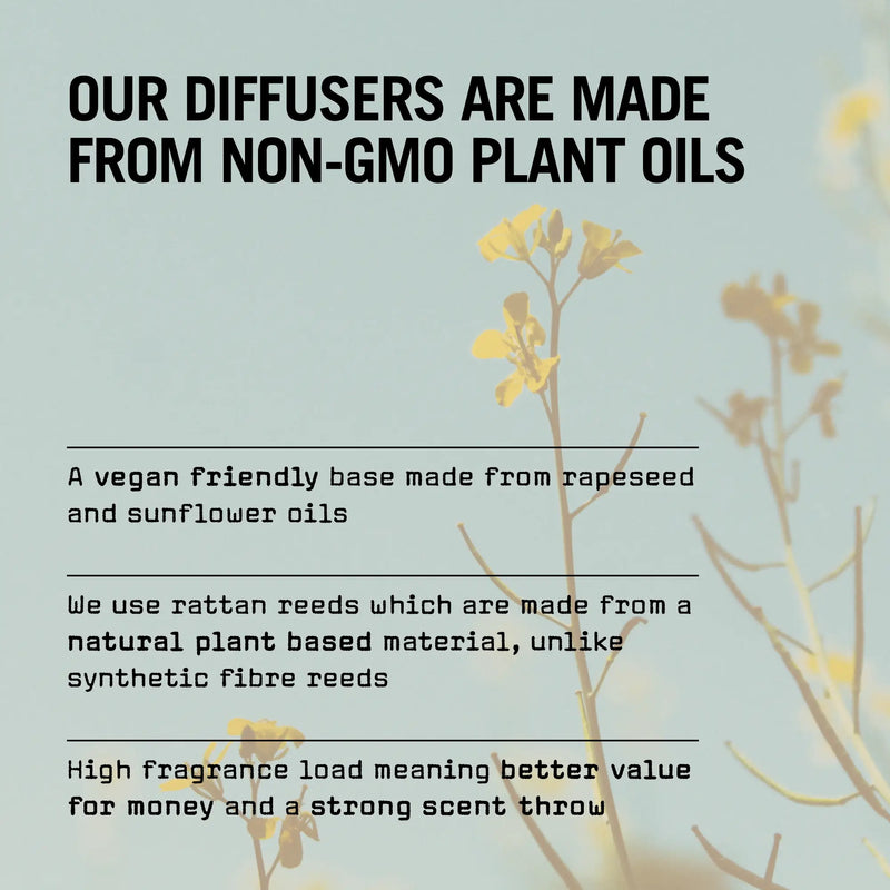 Sugi 100ml Reed Diffuser