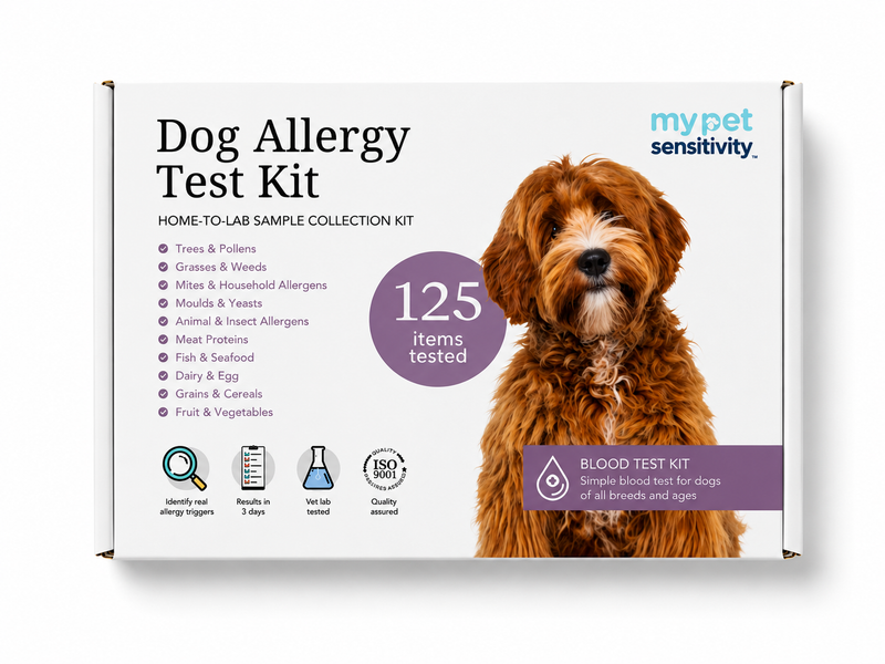 Dog Allergy Test