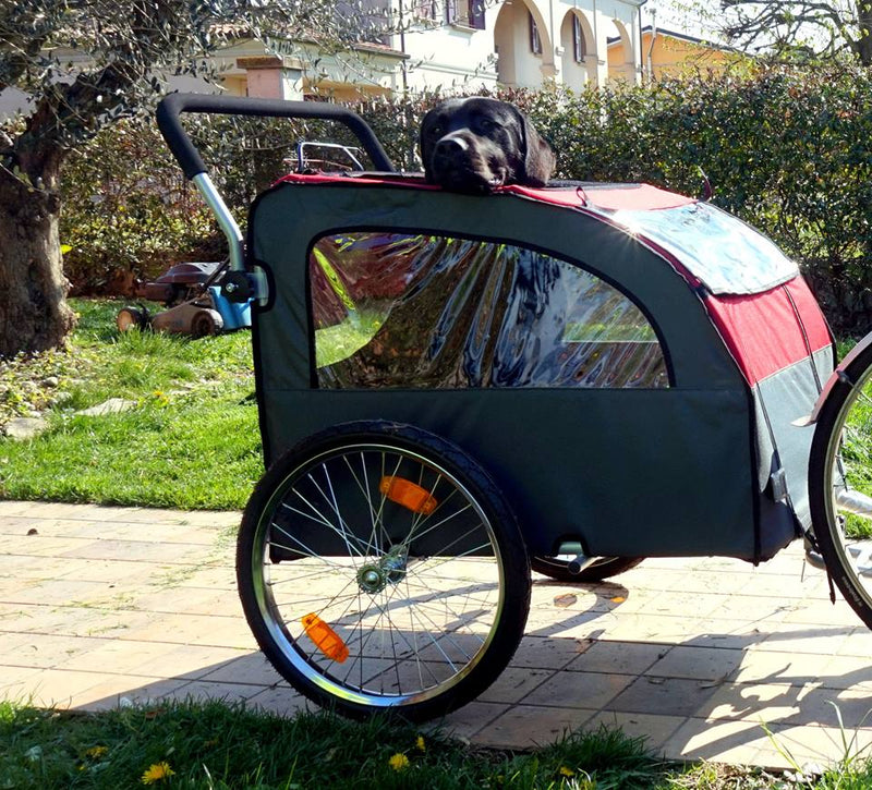Bellelli Dog Bicycle Trailer with Jogging Kit